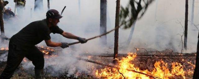 Штраф за разведение огня в севастопольских лесах составит 1 млн рублей