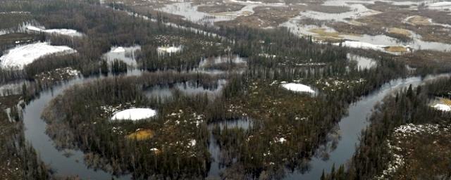 На Ямале обнаружили более 200 озер с кратерами газового выброса