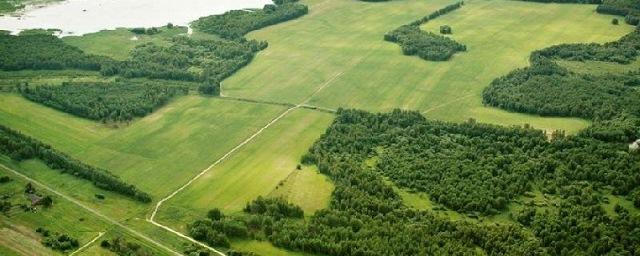 Чайка: «Дальневосточный гектар» позволит реализовать земельные права