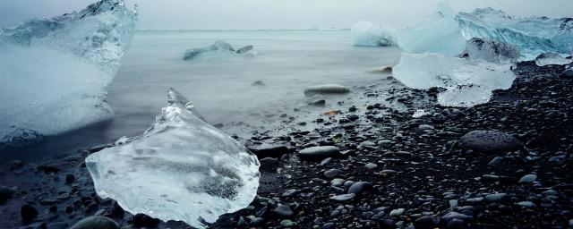 Ученые обеспокоены «позеленением» Арктики