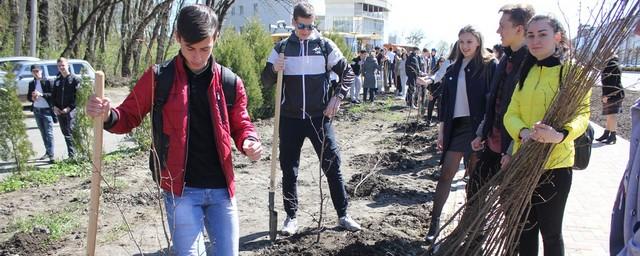 В Ставрополе выпускники школ высадили 1700 деревьев