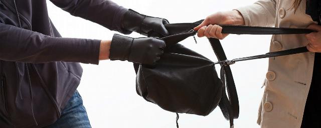 В Забайкалье случайный прохожий отнял у грабителя похищенную сумку