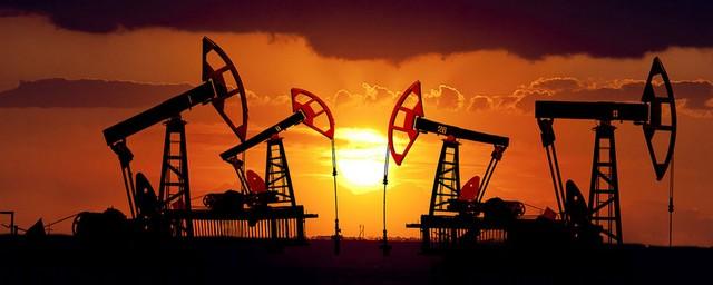 Ученые предложили создать нефтяной технопарк в Новосибирской области
