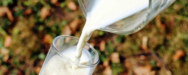 Россельхознадзор ввел ограничения на поставки молока из Беларуси
