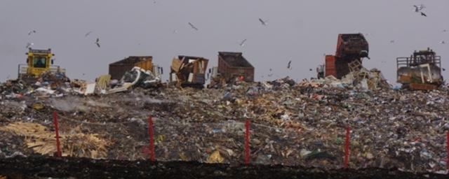 Ярославская область начала принимать мусор из Москвы
