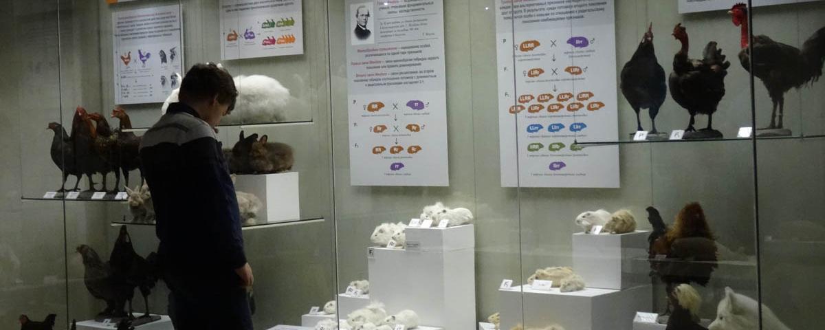 В новосибирском Академгородке появился музей генетики