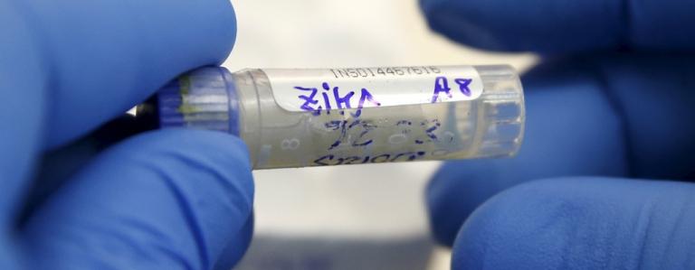 В США испытали на мышах первую вакцину против вируса Зика