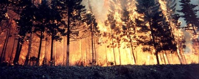 Курганцев предупредили о чрезвычайной пожароопасности