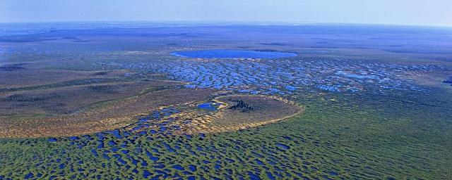 На Васюганском болоте откроют станцию для изучения климата