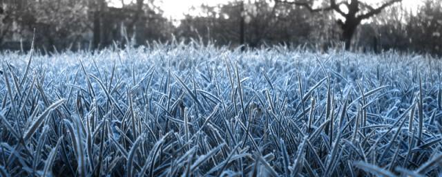 МЧС: В Рязанской области возможны заморозки