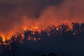 В Курганской области объявлена чрезвычайная пожарная опасность