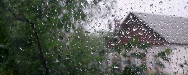 Воронежцев предупредили о сильных дождях с грозами