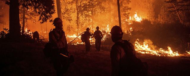 Число погибших в калифорнийских пожарах увеличилось до 44 человек