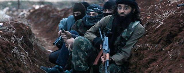 Группировка «Джебхат ан-Нусра» заявила об отделении от «Аль-Каиды»