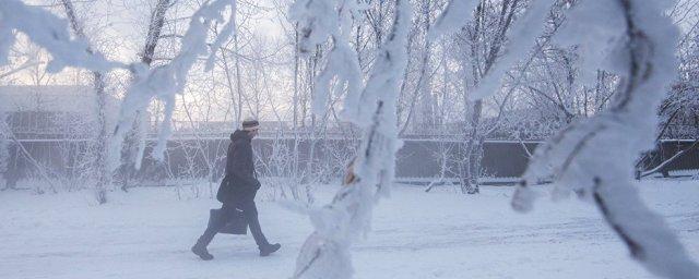 В Москву к 26 января придут сильные морозы