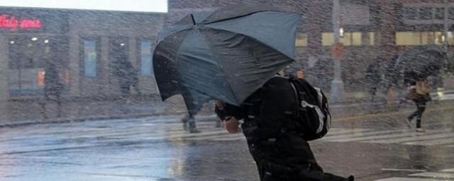 Синоптики прогнозируют в Крыму сильные дожди и порывистый ветер