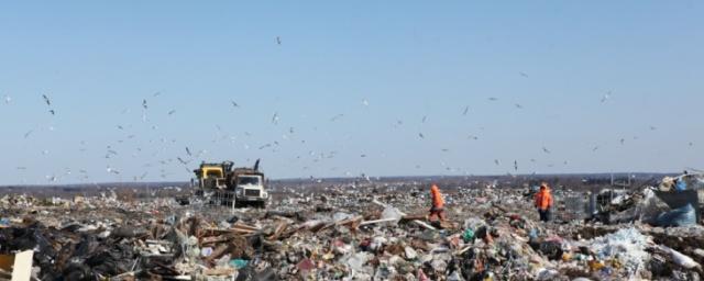 В Ярославской области появятся 6 мусоросортировочных станций