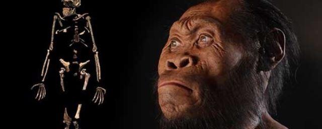 Древнейшие говорящие люди стали «моложе» в 10 раз