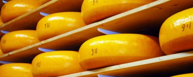 В Брянскую область не пустили 10 тонн сыра из Белоруссии