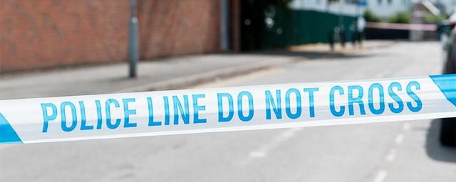 В Лондоне психически больной мужчина забил до полусмерти двух женщин