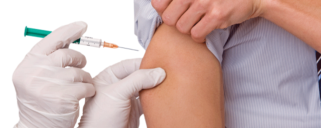 В Хабаровске стартует осенняя вакцинация против клещевого энцефалита