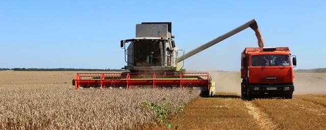 В РФ в этом году планируют собрать 105 млн тонн зерна