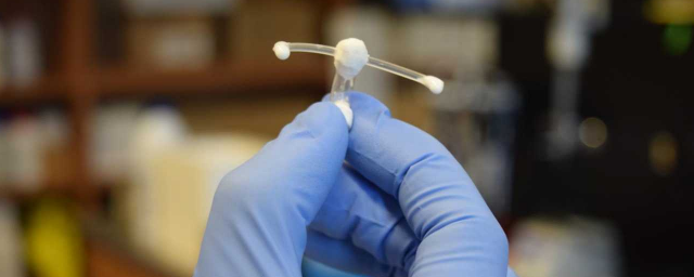 Создан имплантат, который защитит женщин от передачи ВИЧ половым путем