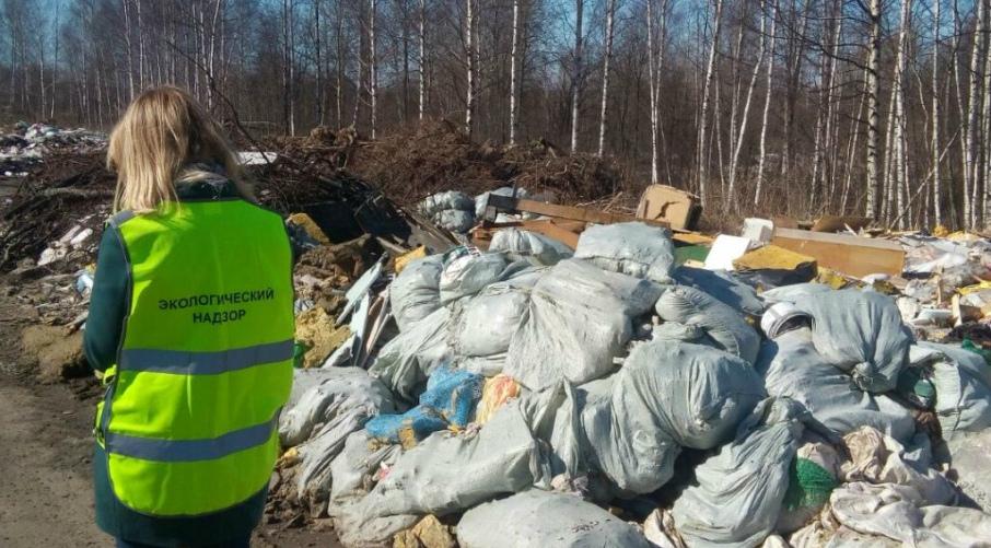 Ярославцы могут стать инспекторами по охране окружающей среды