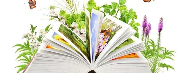 Экологи дополнили «Зеленый справочник Тюмени»