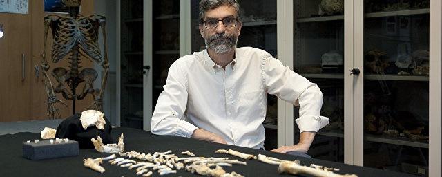 Ученые: Мозг неандертальцев долго продолжал увеличиваться в размерах