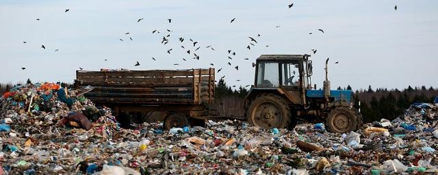 В Екатеринбурге намерены построить 5 мусороперерабатывающих заводов