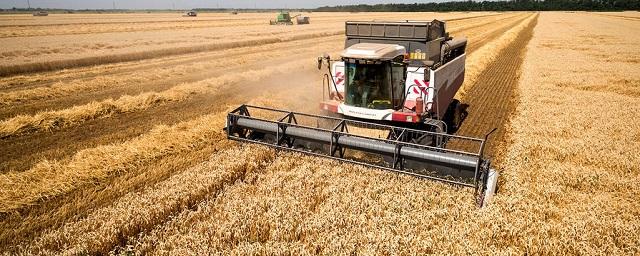 В КБР выросла урожайность зерна в 2018 году