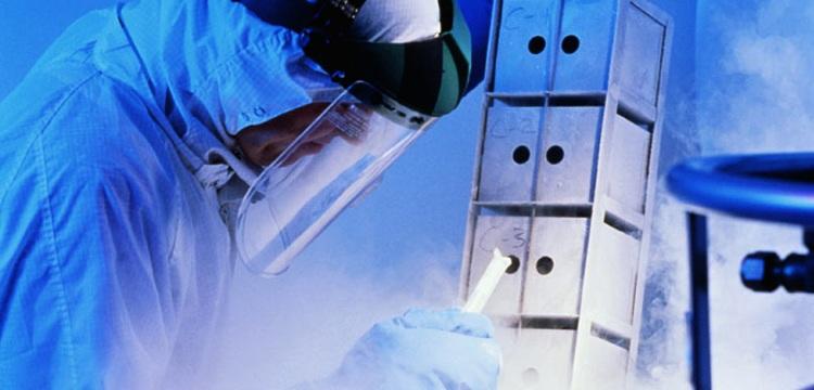 Медики создали безопасный метод заморозки и разморозки органов