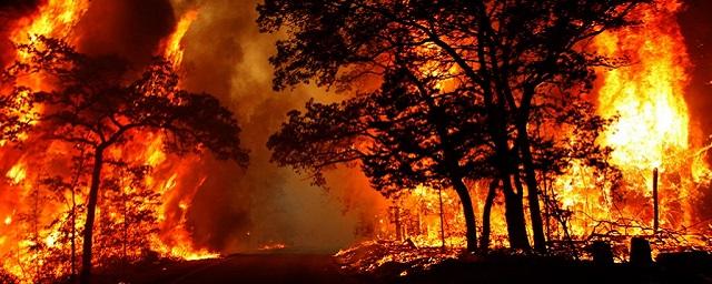 В ЯНАО площадь природных пожаров достигла 3,5 тысячи гектаров