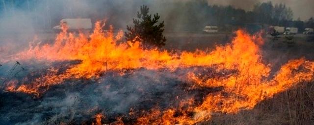 В Ростовской области установилась высокая пожароопасность