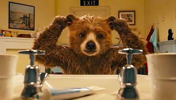 Французы снимут новый фильм о приключениях медвежонка Паддингтона
