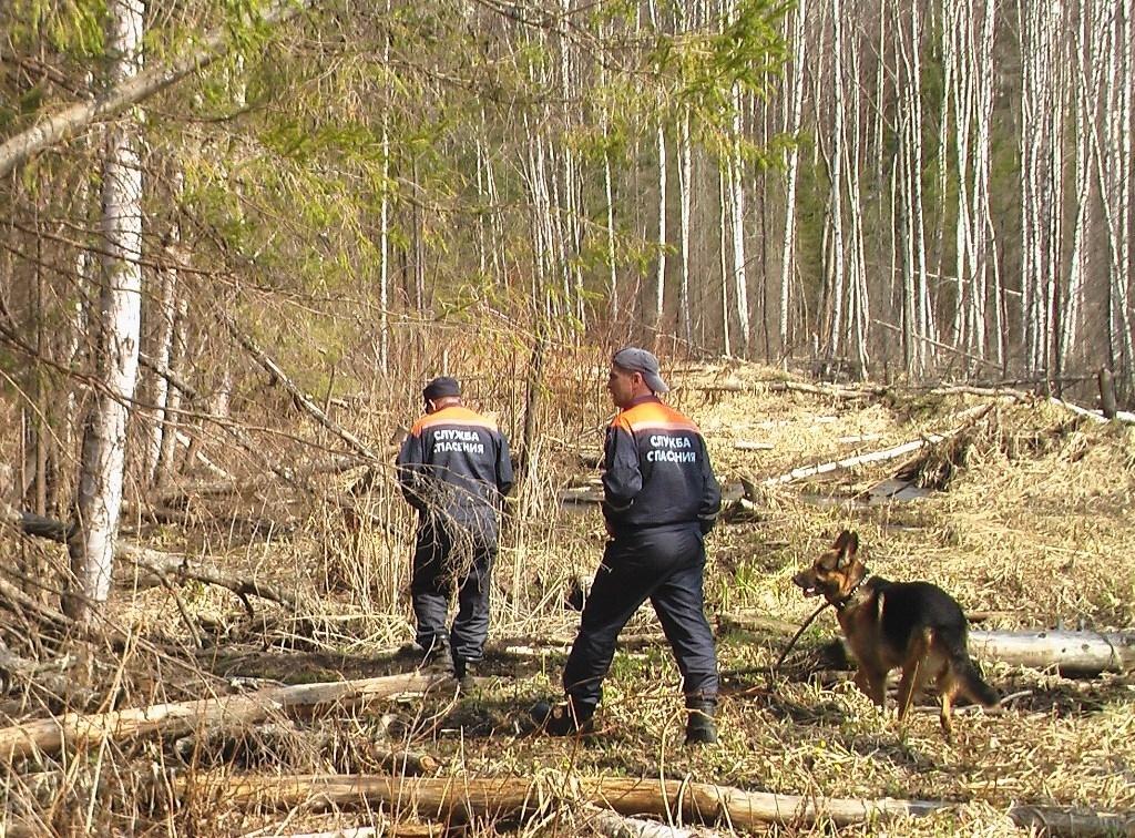 В Удмуртии нашли живым 12-летнего ребенка, пропавшего в лесу