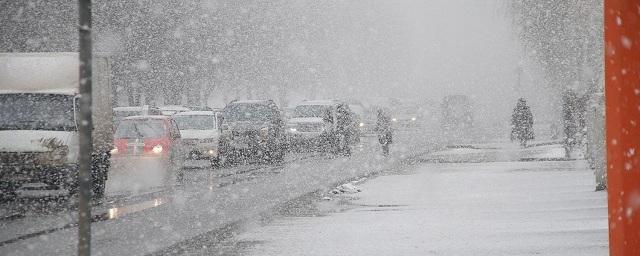 Колесов: Начало декабря в Петербурге будет снежным