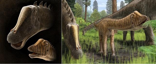 Образ жизни молодых диплодоков узнали благодаря динозавру Эндрю