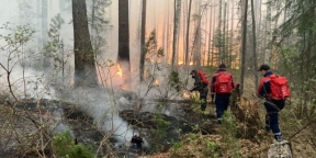 В Екатеринбурге наберут и обучат волонтеров для тушения природных пожаров