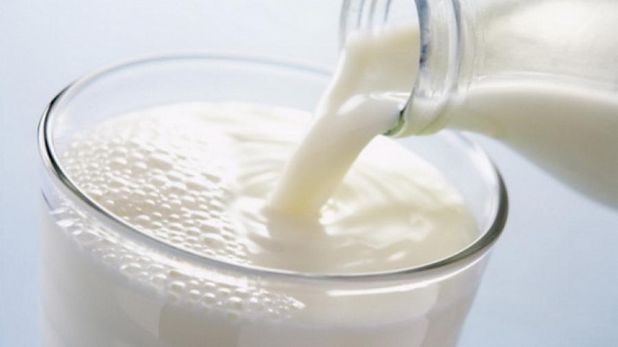Качество привозного молока будут проверять на Керченской переправе