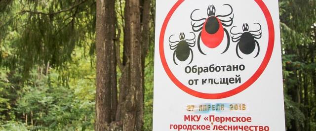 В Пермском крае более 12 тысяч жителей пострадали от укусов клещей