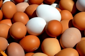 В дискаунтерах Липецка яйца продают по 160 рублей за десяток