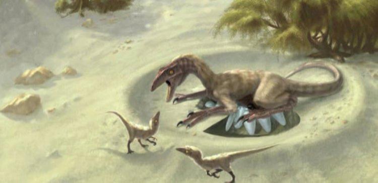 Ученые вычислили температуру тела динозавров по скорлупе их яиц