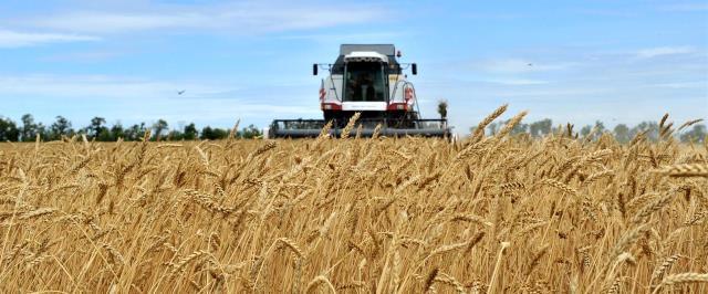 В Татарстане аграрии намолотили 2,8 млн тонн зерна