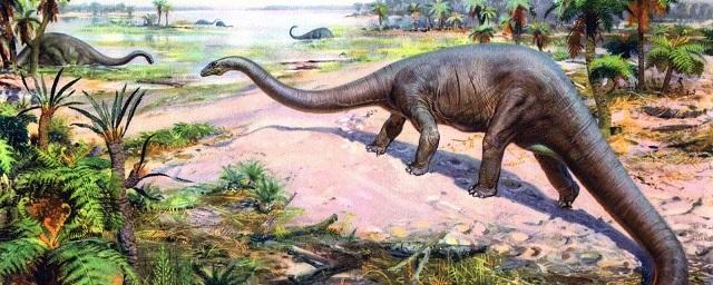 Палеонтологи: Млекопитающие вышли в свет после вымирания динозавров