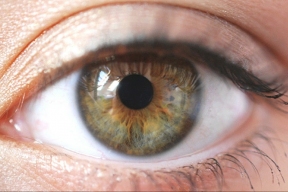 Ученые Колумбийского университета внесли вклад в изучение цветного зрения
