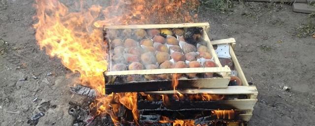 В Красноярске уничтожили 35 кг зараженных персиков