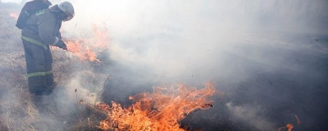 В Москве объявили «оранжевый» уровень опасности из-за пожаров