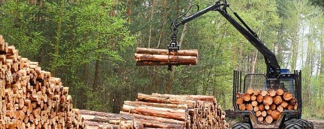 В России объем заготовки древесины увеличился на 9%